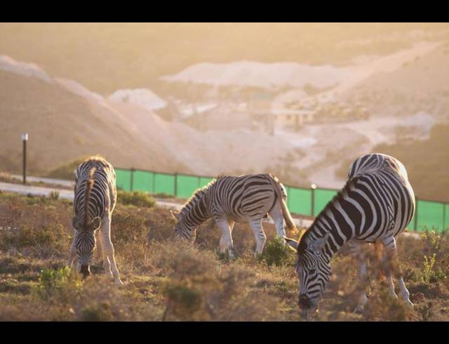 3 BEDROOM HOUSE FOR SALE IN OUTENIQUASBOSCH